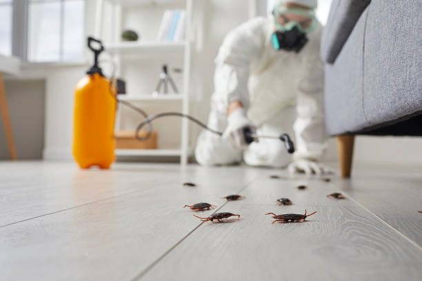 Commercial Rodent Management in Hopewell